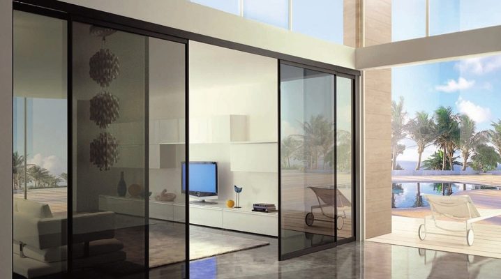  Room partitions in the apartment: design ideas and zoning rules