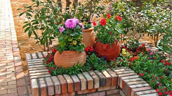 Flower beds in the country: beautiful landscaping options
