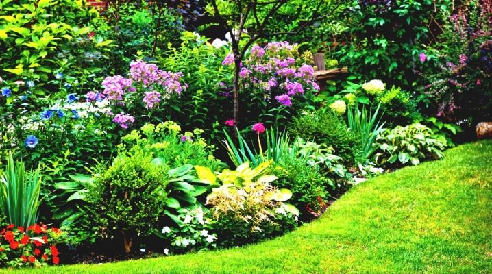 Beautiful beds of perennials in landscape design: how to create your own hands