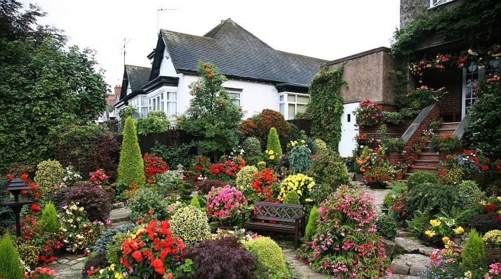  Landscape design: how to arrange the area in front of the house
