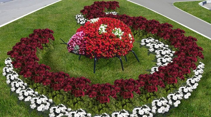  Diseño del paisaje: ¿cómo elegir las flores para una cama?