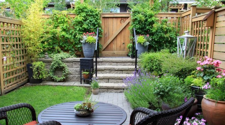  Designul peisaj al unei grădini mici: idei de design frumoase