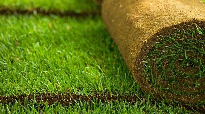  Pokládání trávníku zařízení: materiálové vlastnosti a pokládka technologie