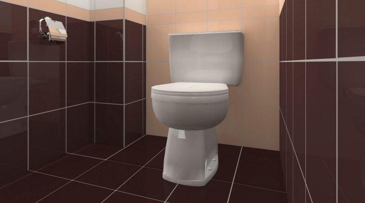 Toilet tiles: unusual design ideas