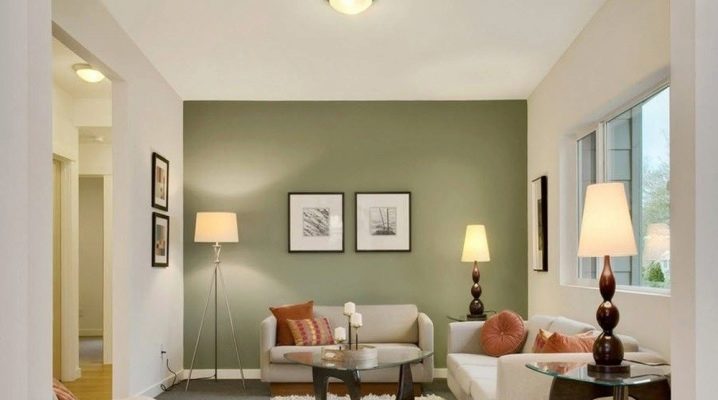  The subtleties of the choice of paint for walls in the apartment
