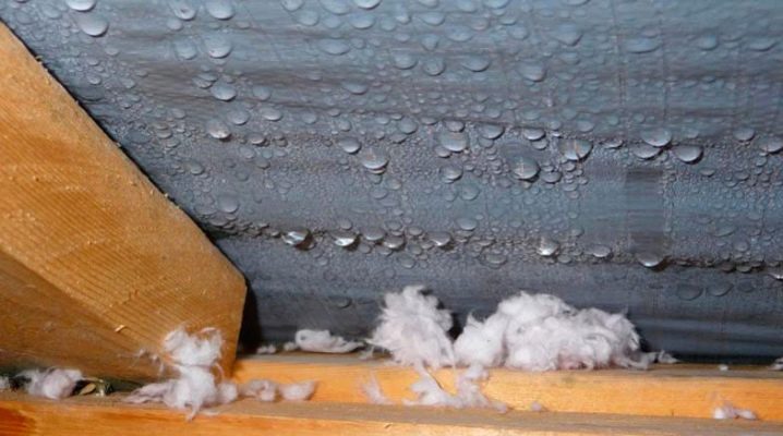  Condensate trên gác mái: làm thế nào để loại bỏ?
