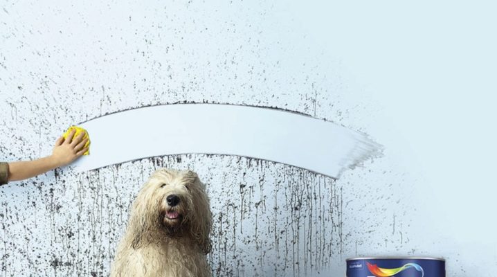  Dulux Paints: Pros and Cons