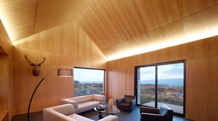  Plywood ceilings: advantages and disadvantages of structures