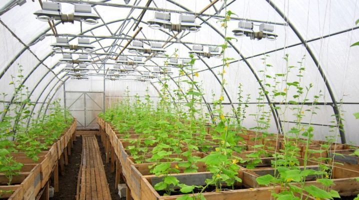  Hur man säkerställer driften av växthuset året runt: alternativ för isolering