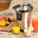  The best citrus juicers from famous brands