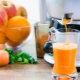  Juicer for hard fruits and vegetables