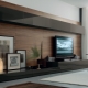  The walls under the TV in a modern style.