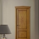  Doors Volkhovets: types and features