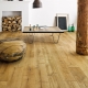  Barlinek floorboard: chọn chất lượng với chi phí hợp lý