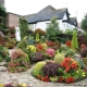  Flower beds and flower beds in the country: we plant plants that bloom all summer