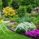  Flower beds: how to decorate the site with their own hands