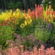 Design de peisaj: plante pentru paturi de flori de toamnă