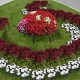  Landscape design: how to choose flowers for a bed?