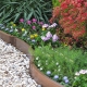  Fences for flower beds: do-it-yourself decorative borders