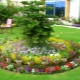  المبادئ الأساسية لاختيار الألوان ل flowerbeds