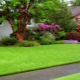  All the subtleties of the selection and installation of artificial grass in the country