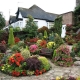  How beautiful to arrange the garden and garden in the country?