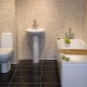 How to put the tiles in the toilet with their own hands: the details of the process