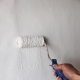  How to paint a wall with a roller?