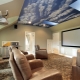  Stretch ceiling Sky: options in the interior