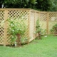  Plastic fences: the pros and cons