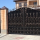  Gate with a wicket: designs
