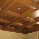  Caisson ceiling: the pros and cons
