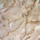 Venetian plaster: features of the application in interior design