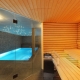 Project bath with a pool: examples of design