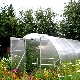  Greenhouse Yield: features, benefits and dimensions
